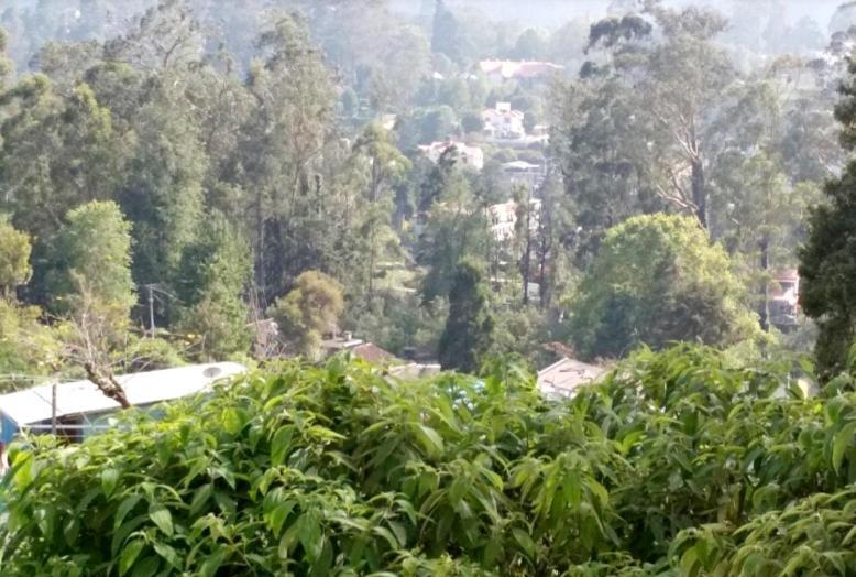 Hotel Royal Rest Kodaikanal Zewnętrze zdjęcie